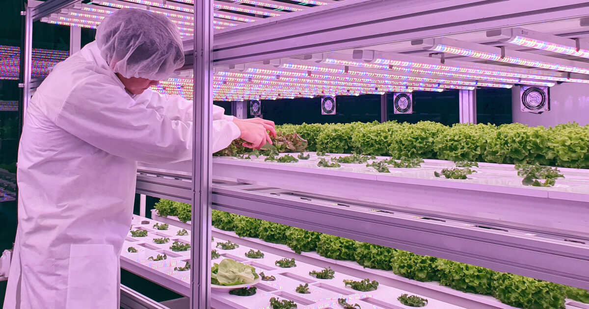 Beta Farms | Affiliated Engineers